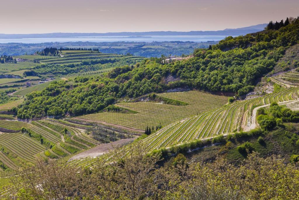 La Grande Casa Valpolicella Bed & Breakfast ซานตัมบรอโจ ดิ วัลโปลีเชลลา ภายนอก รูปภาพ